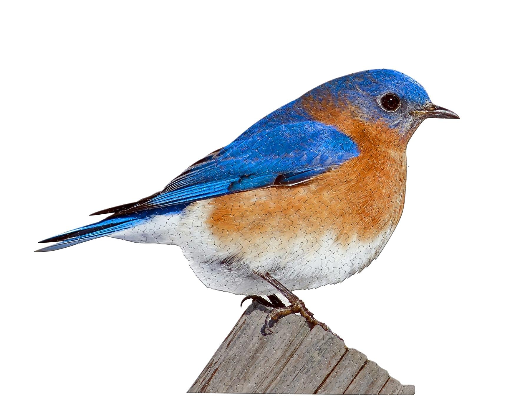 I Am Bluebird 300 Piece Shaped Jigsaw Puzzle – All Jigsaw Puzzles