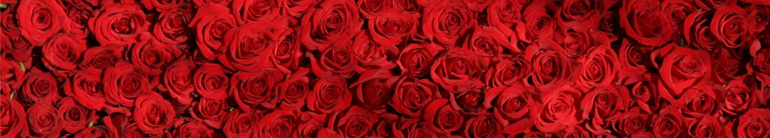 Valentine's Day Jigsaw Puzzles