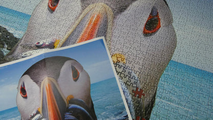 We Shall Have a Fishy (Puffin) 1000 Piece Jigsaw