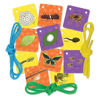 Natural History Museum Let's Learn Tiny Creatures Activity Pack