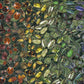 Natural History Museum - Beetles 1000 Piece Jigsaw Puzzle