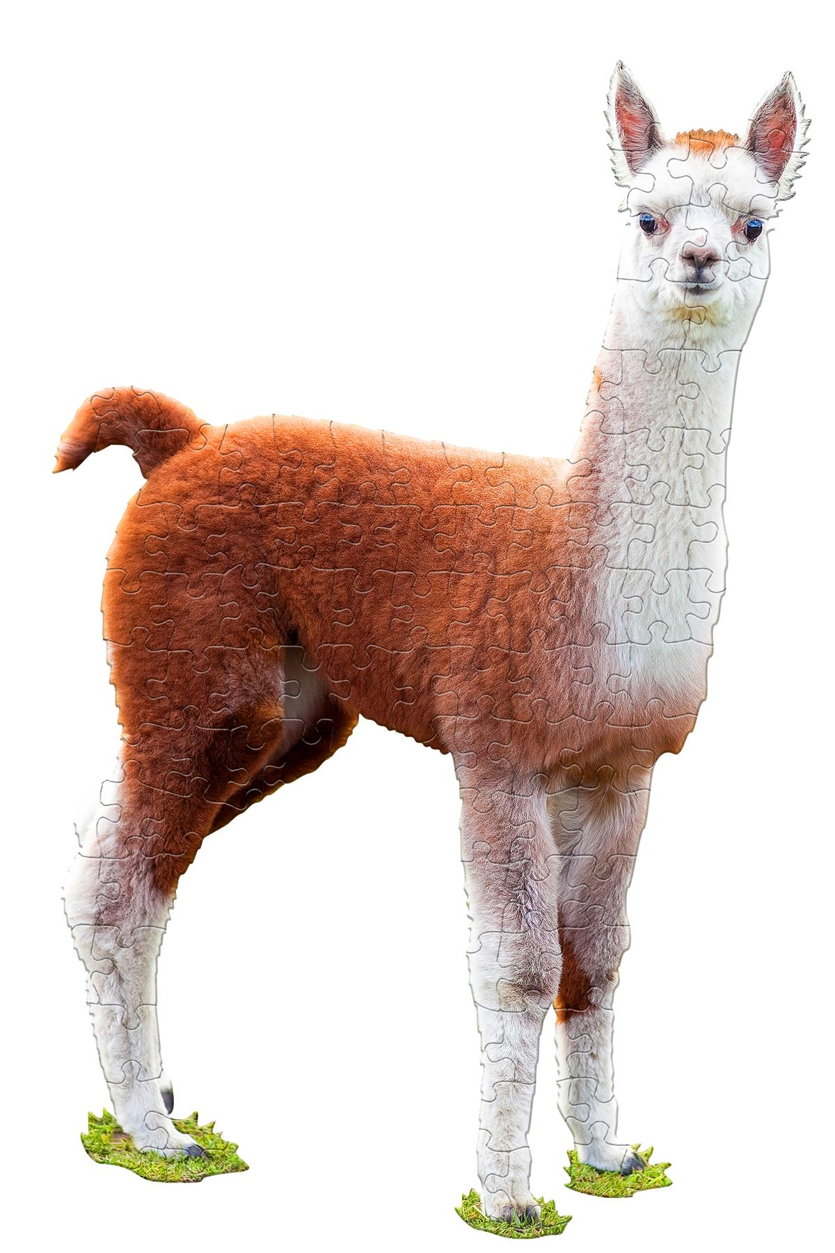 I am Llama 100 Piece Shaped  Jigsaw Puzzle