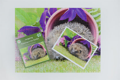 Hedgehog Pottering In The Garden 1000 Piece Jigsaw