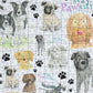 Stay Pawsitive 500 Piece Jigsaw Puzzle