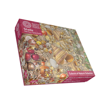 Natural History Museum - Shells 1000 Piece Jigsaw Puzzle