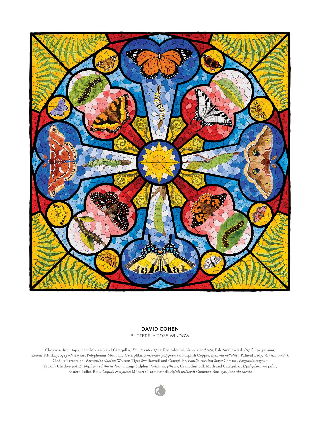 David Cohen: Butterfly Rose Window 1000 Piece Jigsaw Puzzle