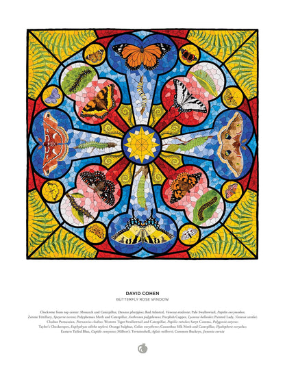 David Cohen: Butterfly Rose Window 1000 Piece Jigsaw Puzzle