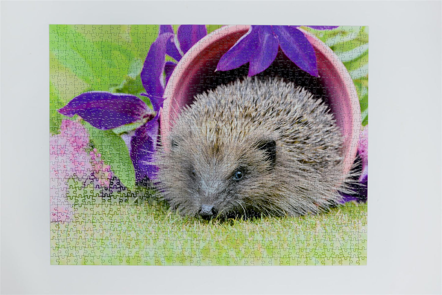 Hedgehog Pottering In The Garden 1000 Piece Jigsaw