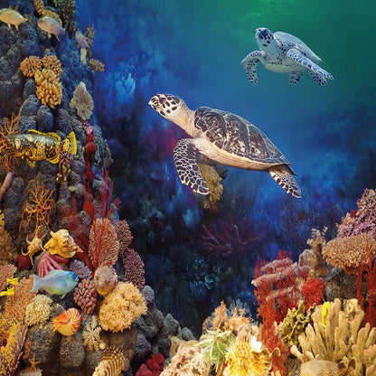 Tropical Turtles 1000 piece jigsaw puzzle