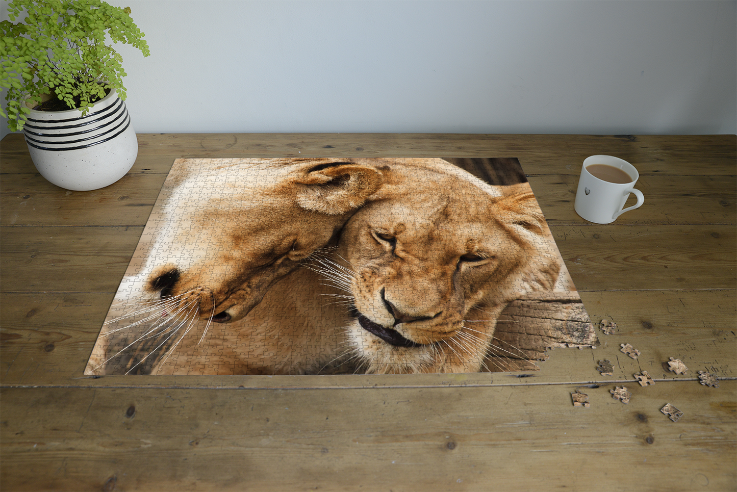 Lioness 1000 piece jigsaw puzzle